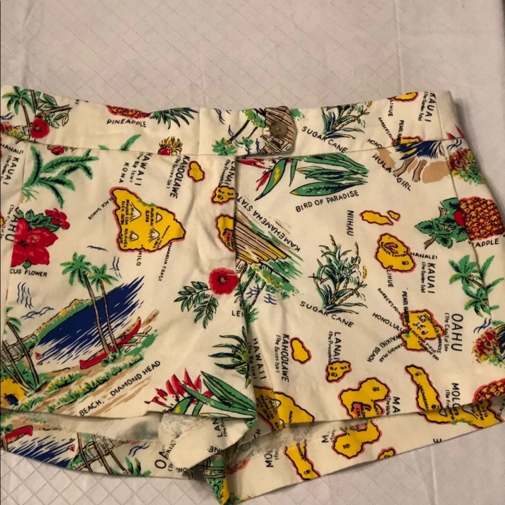 J. Crew Shorts